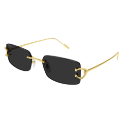Lunettes de soleil Rectangle Homme Cartier