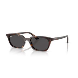 Lunettes de soleil Pillow Unisexe RayBan
