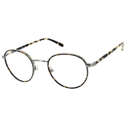 Lunettes de vue PARKER11 ECAILLE MOUCHETEE/GUN CLAIR